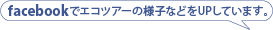 facebookでエコツアーの様子などをUPしています。