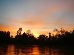 キナバタンガン川の夕暮れ