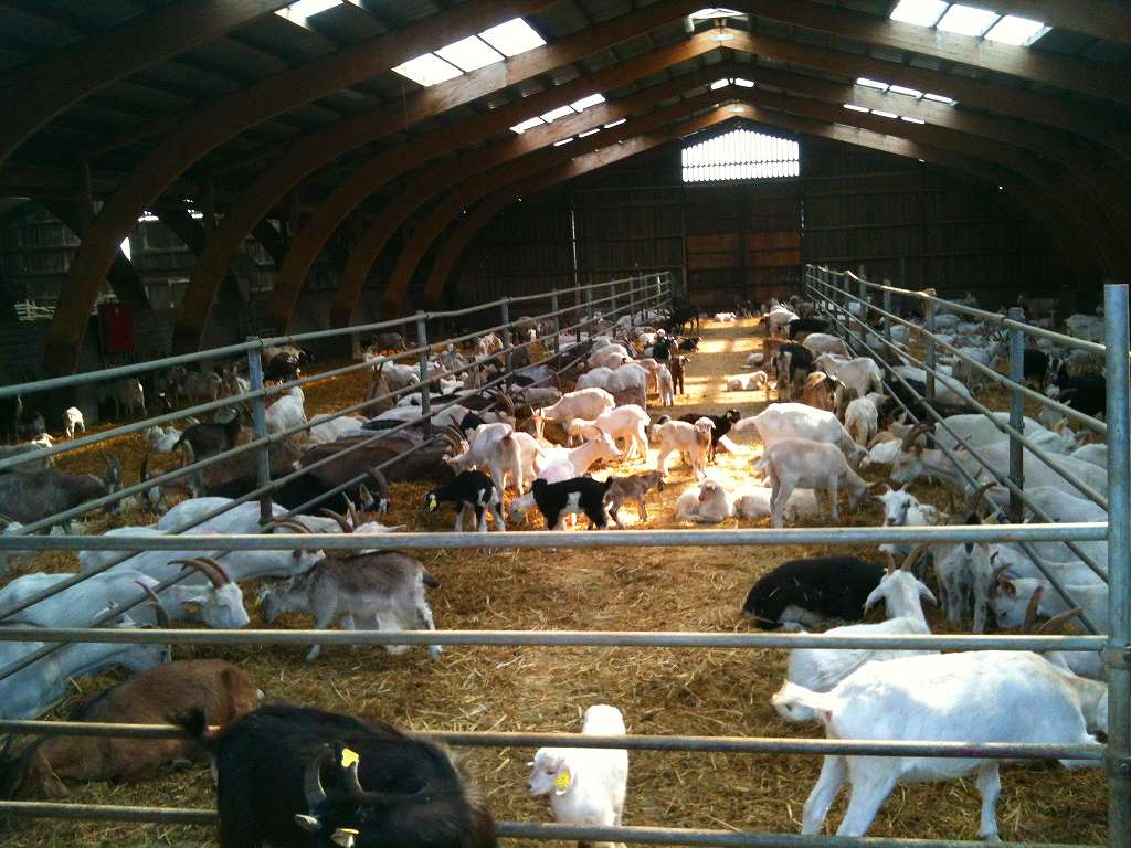 世界一豊かな国デンマーク(ロラン島)体験エコツアー 8日間 トピックス リボーン<エコツーリズム・ネットワーク> サステイナブルツーリズム